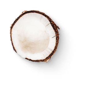 Coconut Image